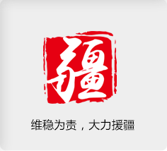維穩為責，大力援疆